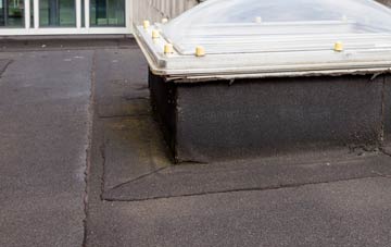 disadvantages of Easter Meathie flat roofs