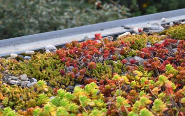 the cost of Easter Meathie green roof installation