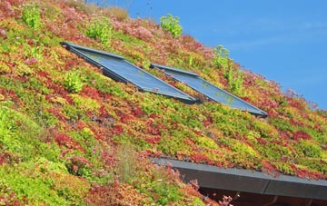 Easter Meathie living roof systems